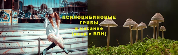 мяу мяу мука Алексин