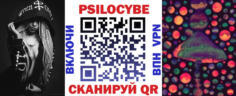 Псилоцибиновые грибы GOLDEN TEACHER  Купить закладки  Тында 